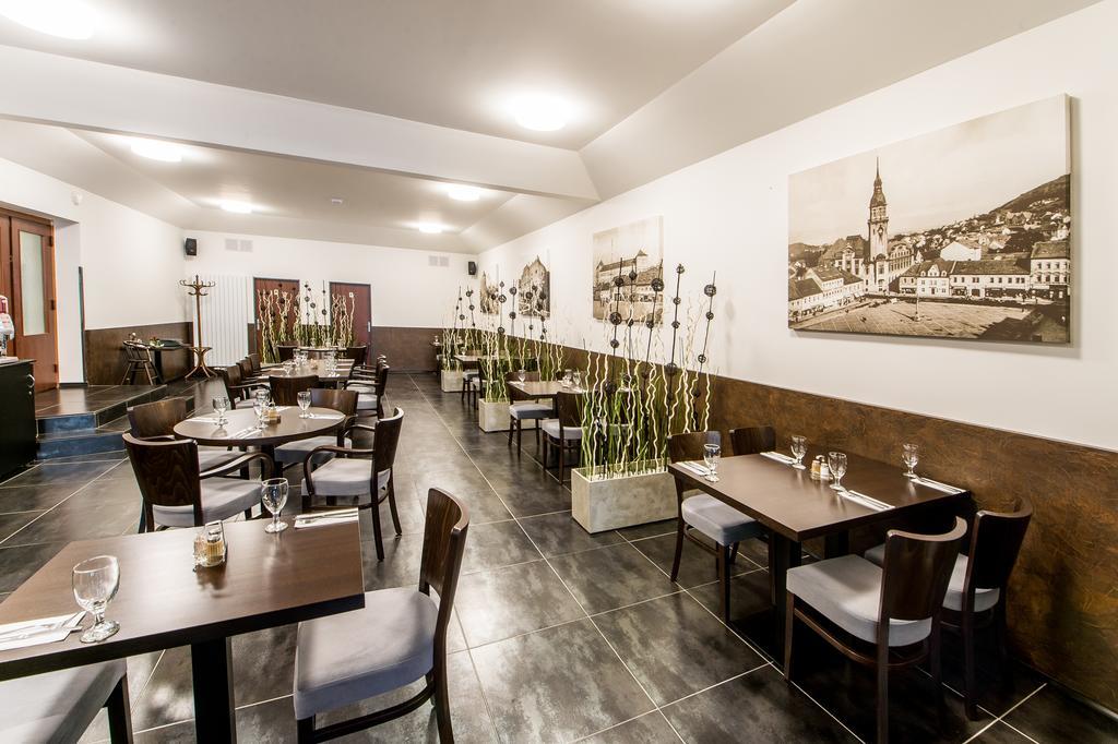 Hotel U Lva Bílina Екстериор снимка